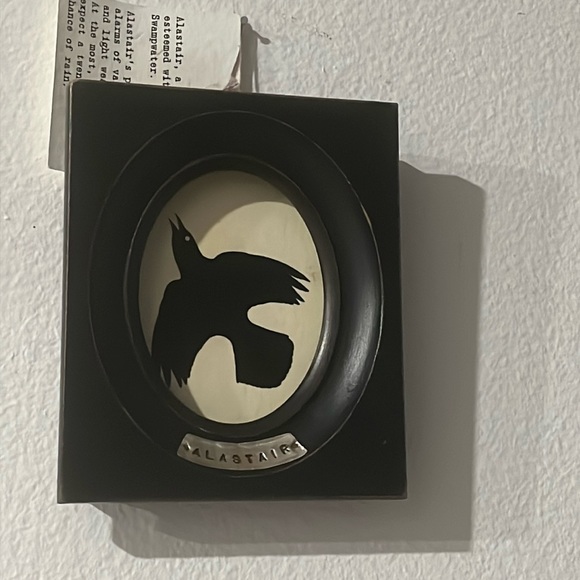 ALASTAIR BIRD PAINT ✨✨ - Picture 2 of 9